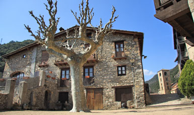 Beget